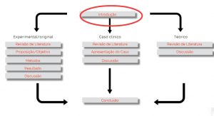 Qual a importância da alfabetização para a cidadania?