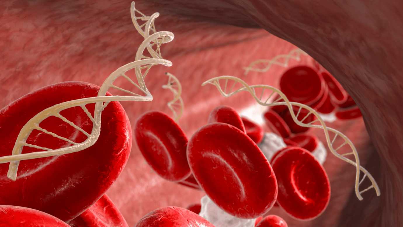 [Biologia] Por que todas as células do nosso corpo contêm DNA?