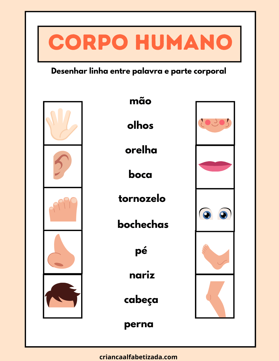 desenhar linhas entre palavras e parte corporal