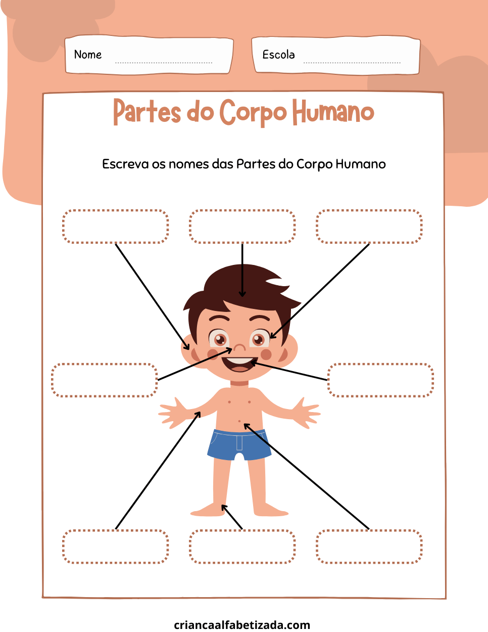 nomear as partes do corpo humano desse menino