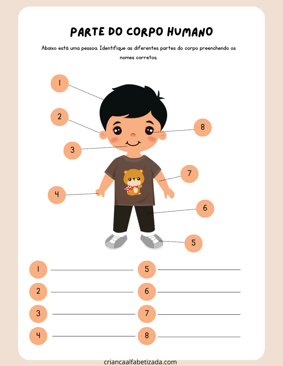 conheça e nomear as partes do corpo humano de um menino