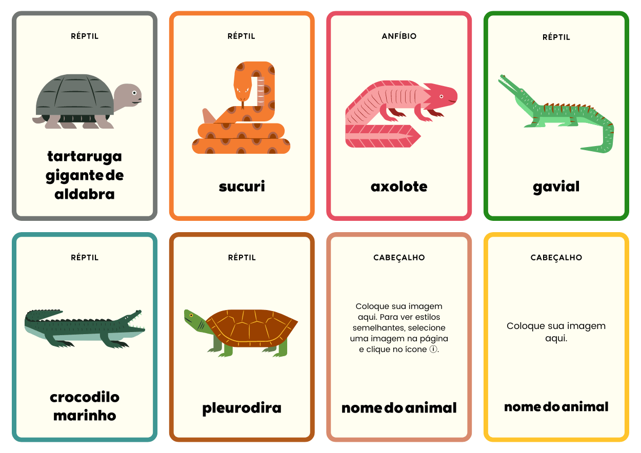 8: Flashcards dos animais: gavial, crocodilo marinho, sucuri etc