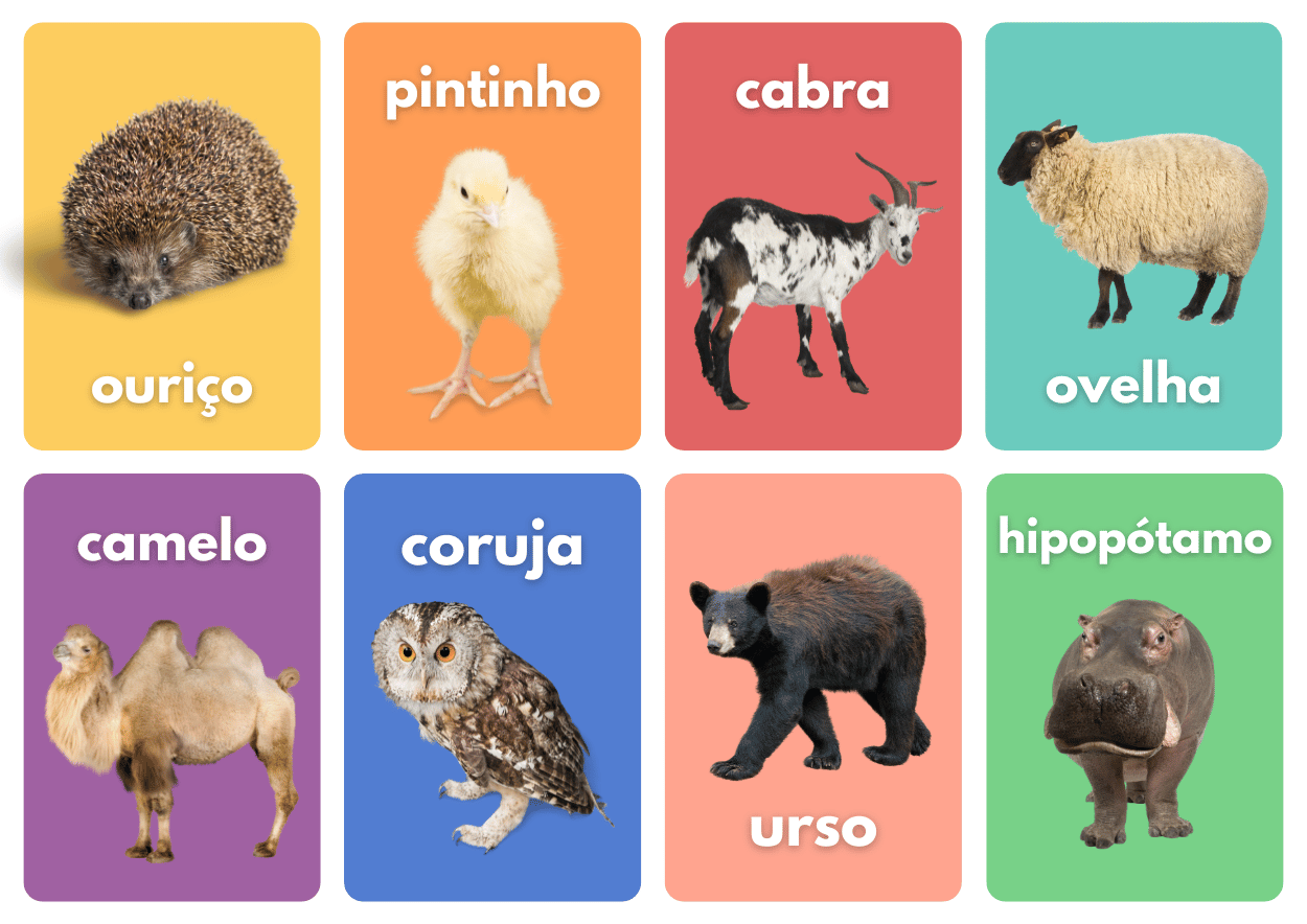 1. oito flashcards: ouriço, pintinho, cabra, ovelha, camelo, coruja, urso, hipopótamo