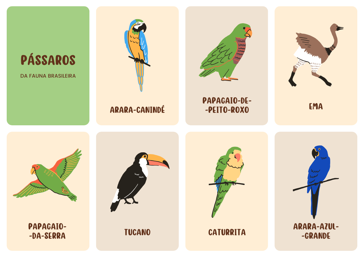 4: Flashcards dos pássaros